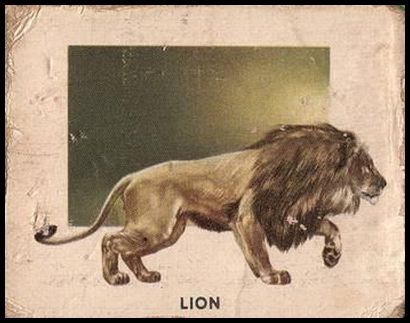 160 Lion